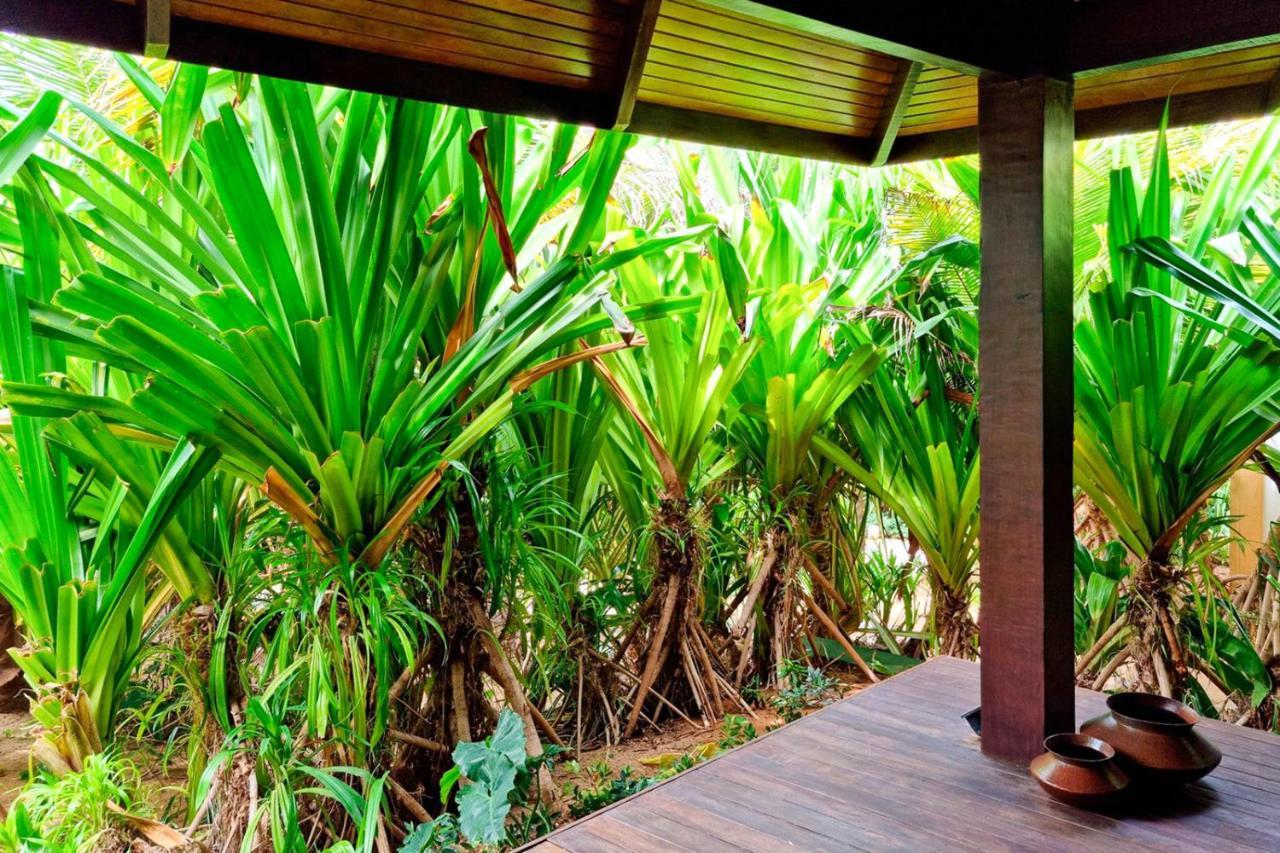 Zorah Beach Hotel ตรายรี ภายนอก รูปภาพ